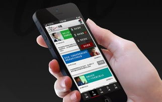 明星天價出場費(fèi)與軟件開發(fā)的跨界思考